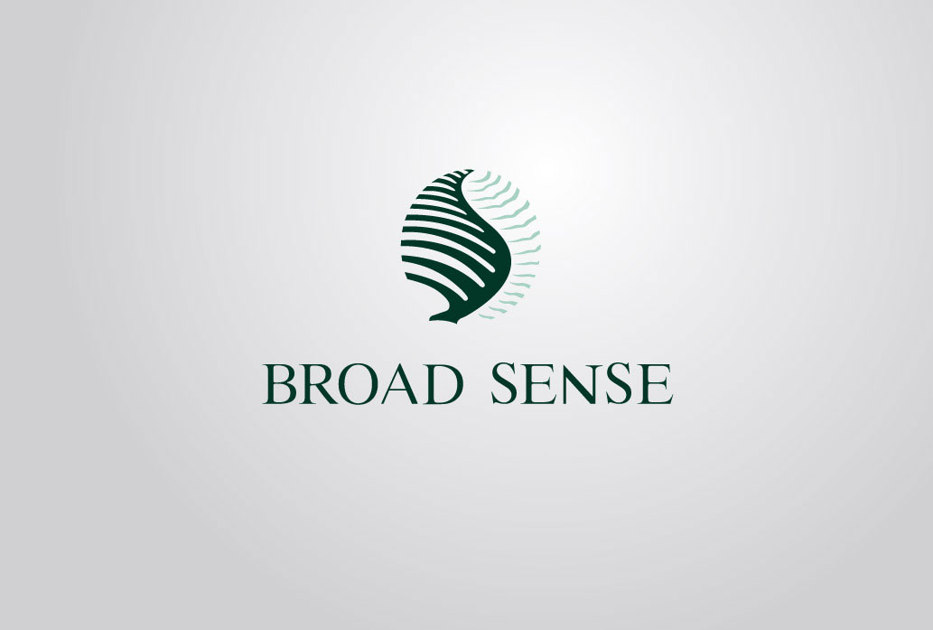 BROAD SENSE标志设计应用