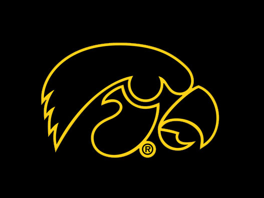 爱荷华州鹰眼logo设计含义及设计理念