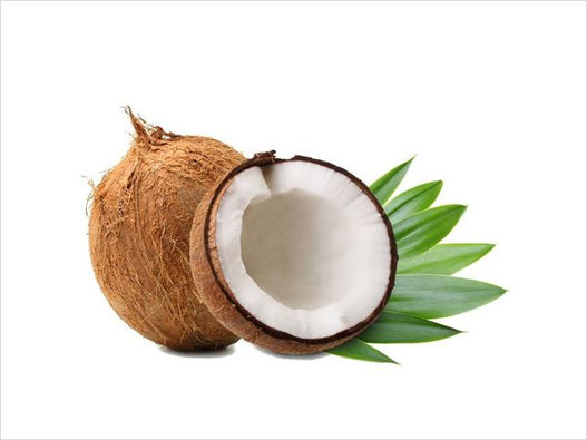 椰子商标注册图片