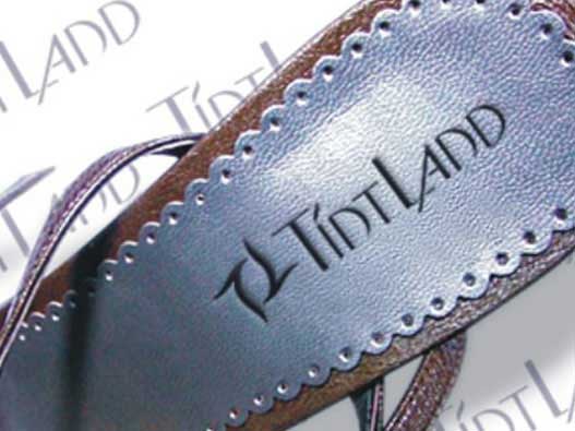 鞋业商标设计-天蓝鞋业商标设计公司