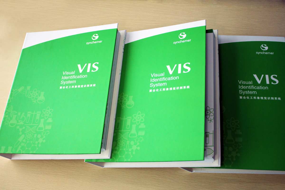 车速美VI手册图片