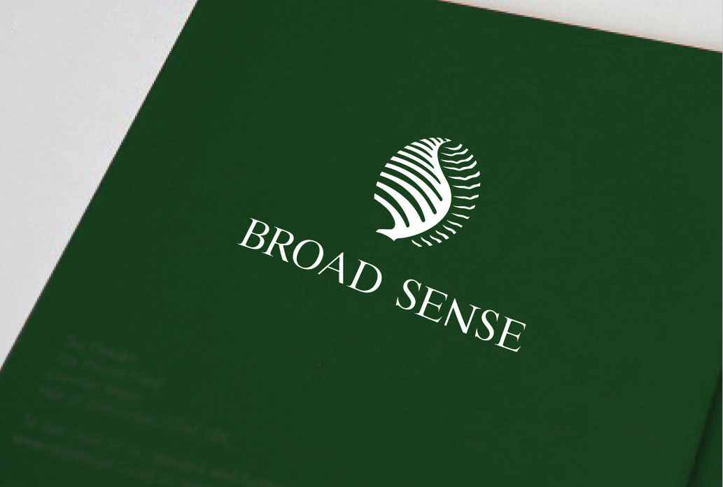 BROAD SENSE标志设计应用