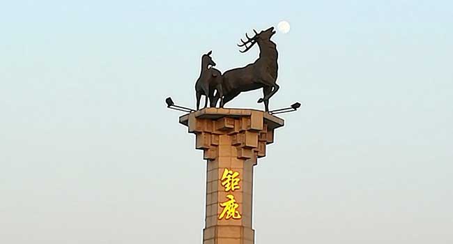 巨鹿县