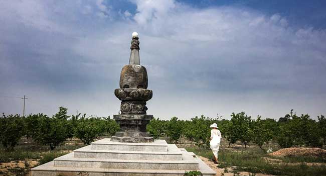 阳原县