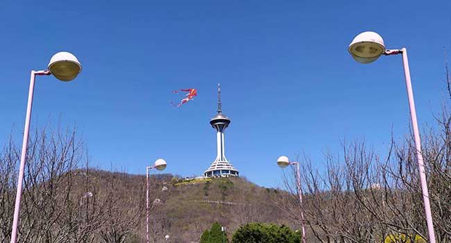 元宝区