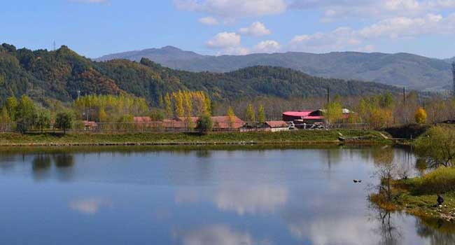 八道江区