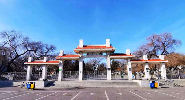 龙沙区