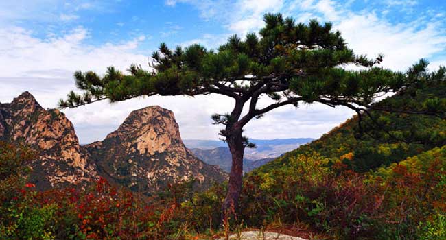 恒山区