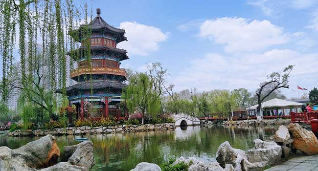 新浦区