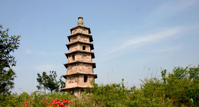 莲都区