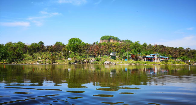 谢家集区