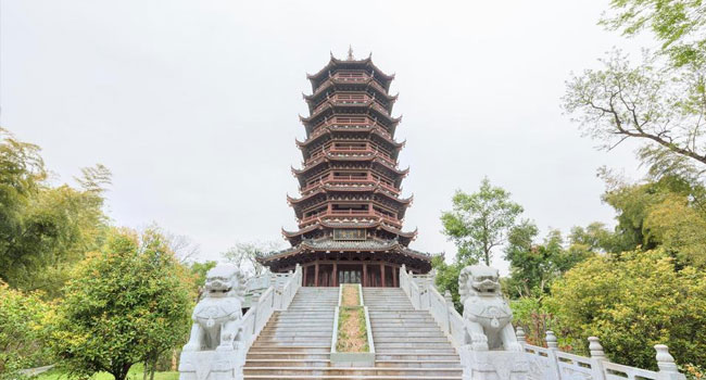 琅琊区