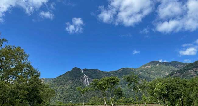 增城市