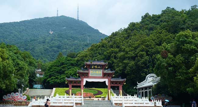 新会区