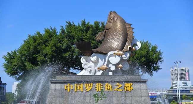茂南区