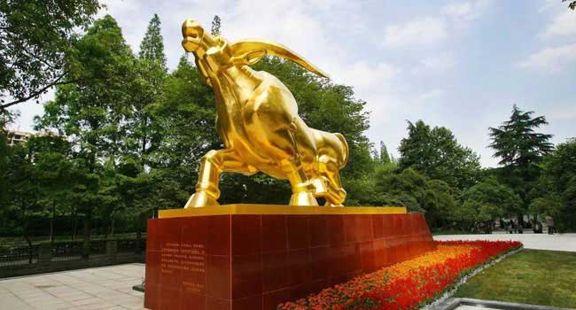 金牛区
