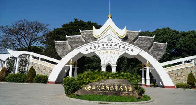 勐腊县