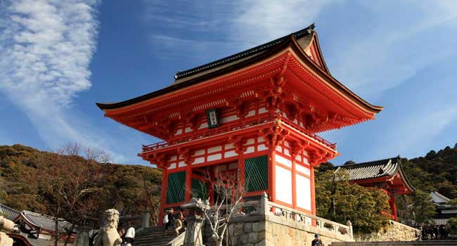 东山区