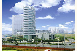 集团地产