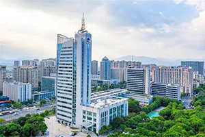 集团地产
