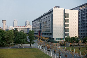 集团地产