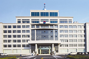 集团地产