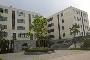 集团地产