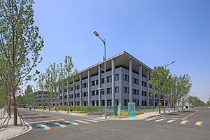 集团地产
