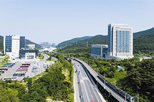 集团地产