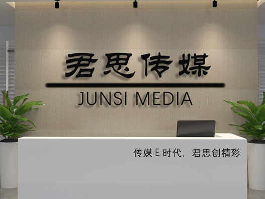 企业网站制作