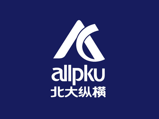 咨询logo设计-北大纵横品牌logo设计