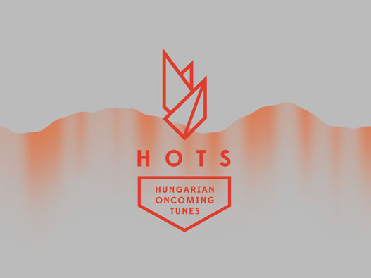 GHots广告品牌VI设计欣赏