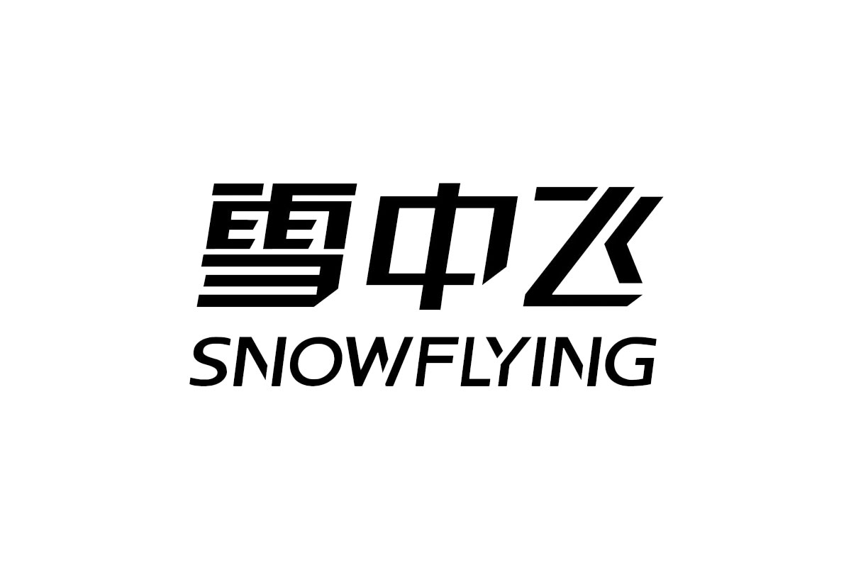 服装logo设计-雪中飞品牌logo设计