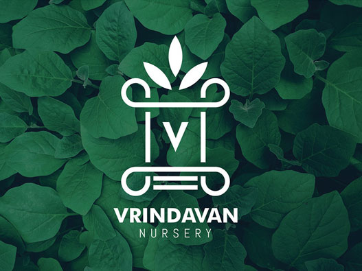 Vrindavan植物VI设计欣赏