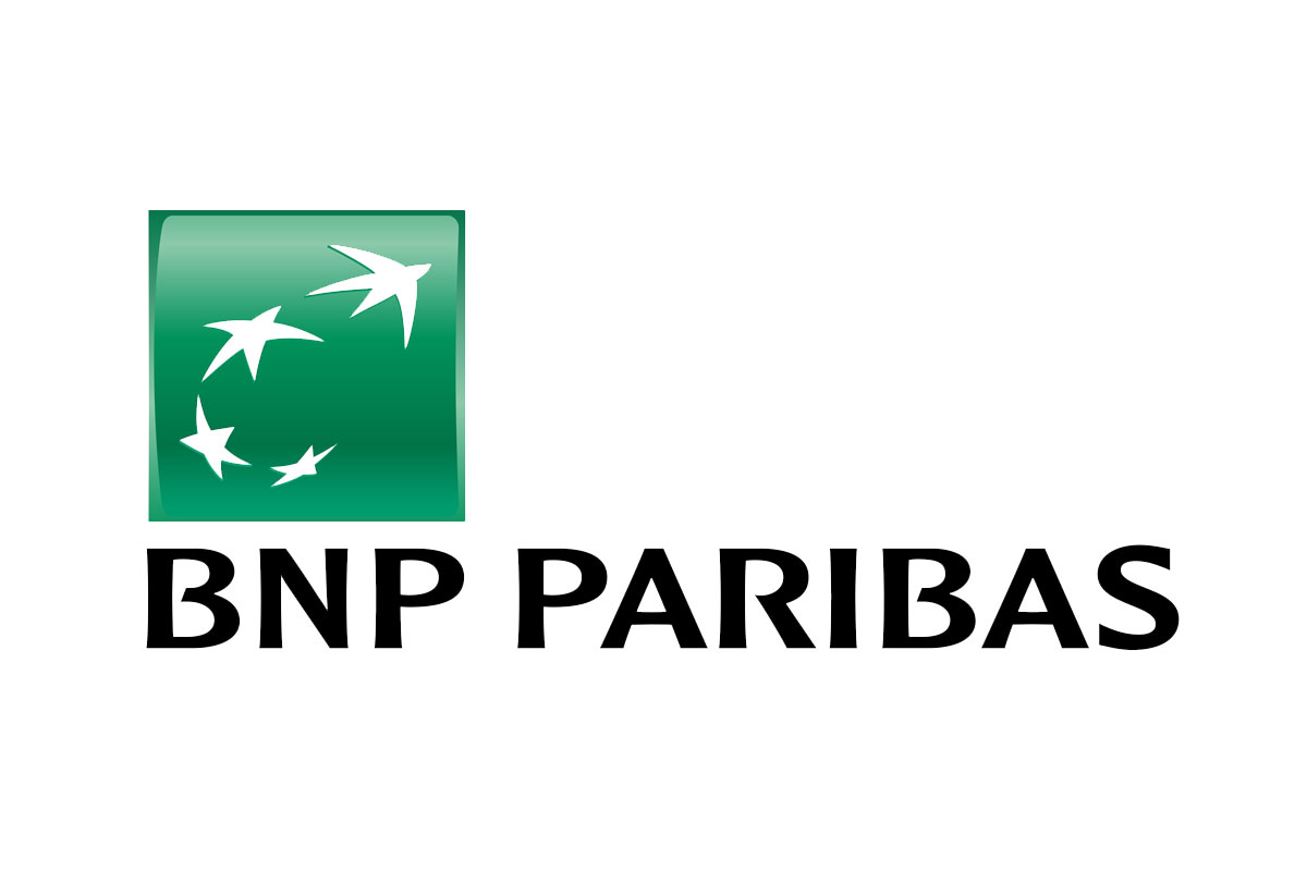 BNP Paribas银行品牌LOGO设计案例-飞鸟元素标志设计