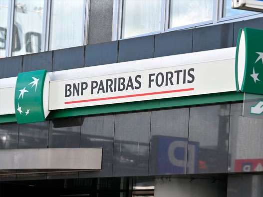 BNP Paribas Fortis标志设计含义及银行品牌设计理念