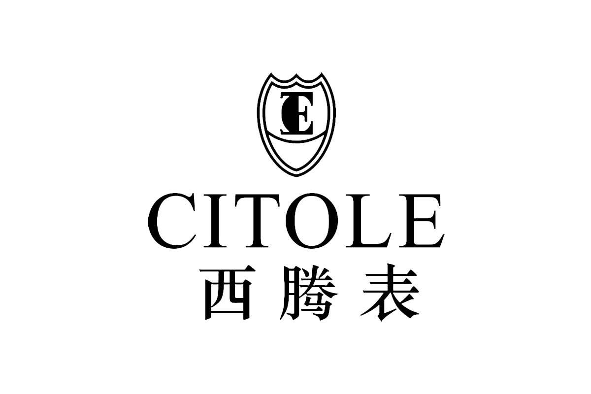 KINGTIS精铁时品牌LOGO设计案例-盾牌E元素标志设计