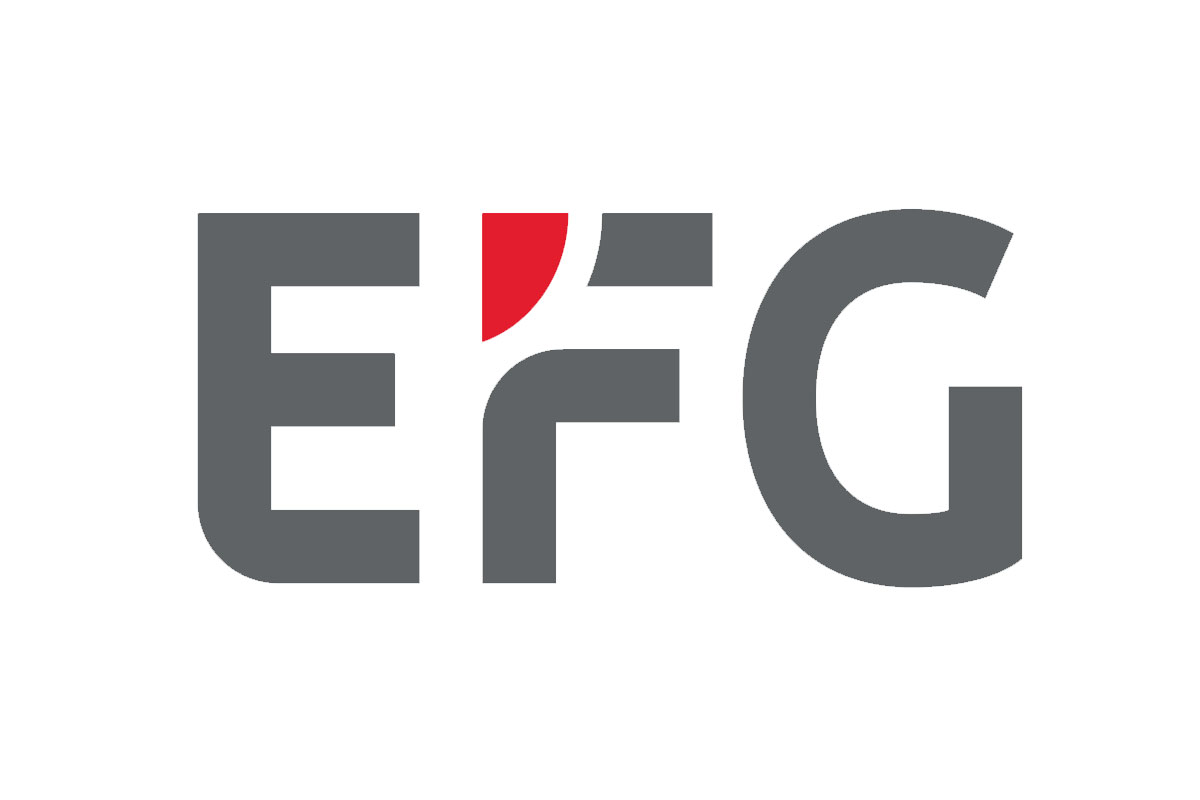 EFG国际银行品牌LOGO设计案例-字体元素标志设计