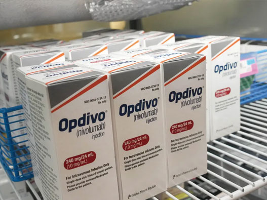 Opdivo欧狄沃logo设计含义及医药品牌设计理念