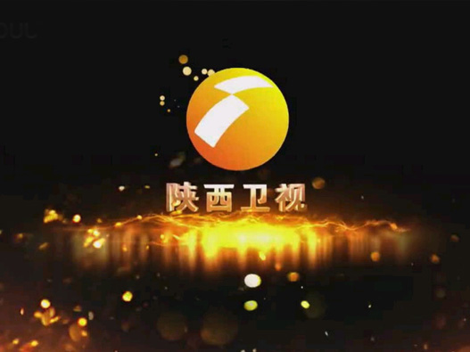 陕西卫视设计含义及logo设计理念