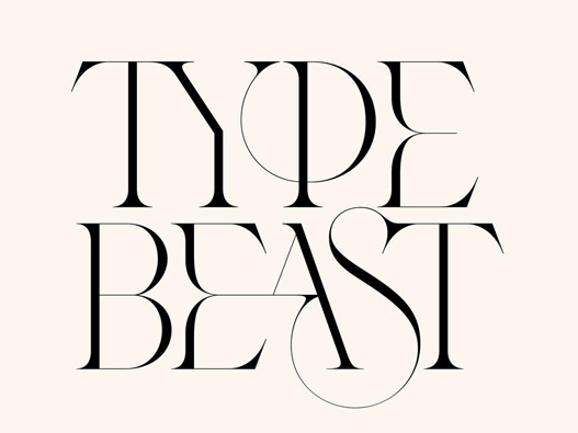 TYPE BEAST 标志设计含义及logo设计理念
