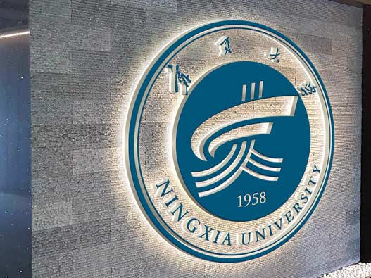 宁夏大学logo设计含义及设计理念