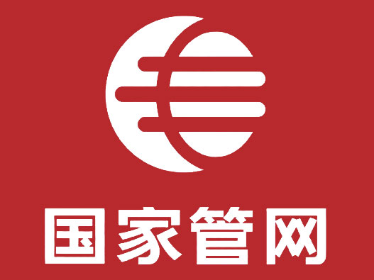国家管网logo设计含义及设计理念