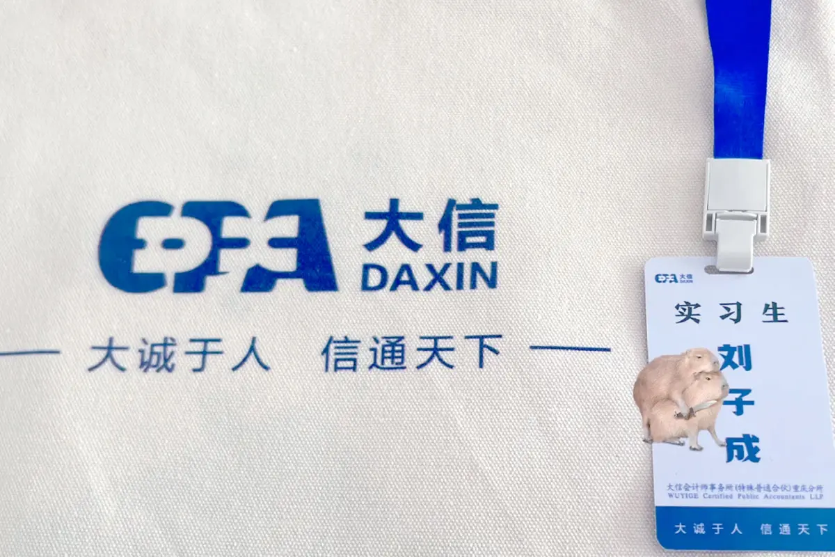大信会计师事务所品牌帆布袋