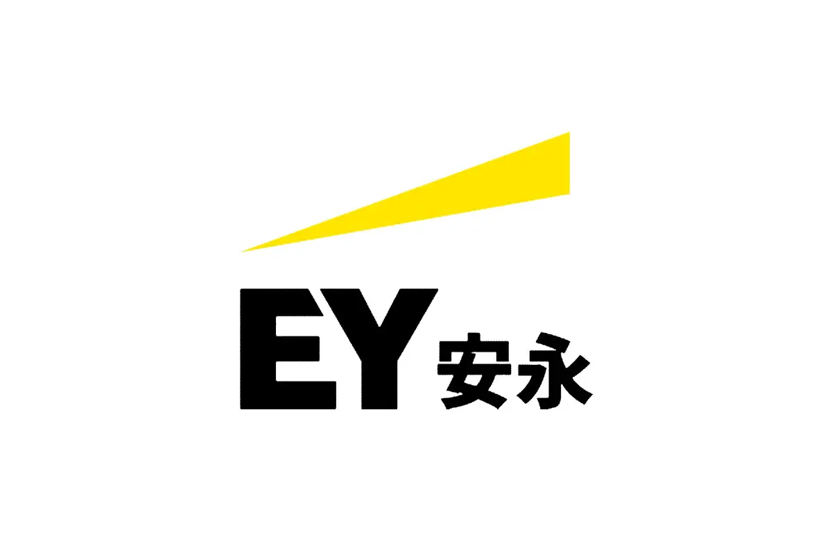 EY安永会计师事务所品牌LOGO设计案例-字母元素标志设计