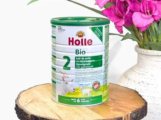 Holle泓乐标志设计含义及奶粉品牌设计理念