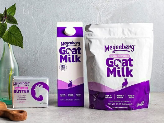 Meyenberg美恩宝标志设计含义及奶粉品牌设计理念