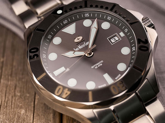 SWISS WATCH COMPANY标志设计含义及手表品牌设计理念