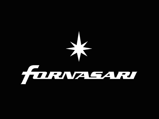 弗那萨利汽车logo设计含义及汽车品牌设计理念