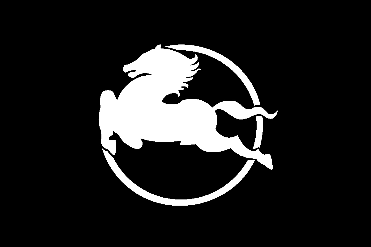 Pegaso汽车logo